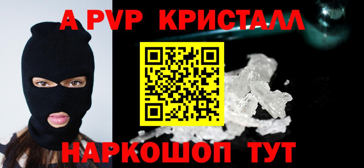 Alfa_PVP СК Тамбов