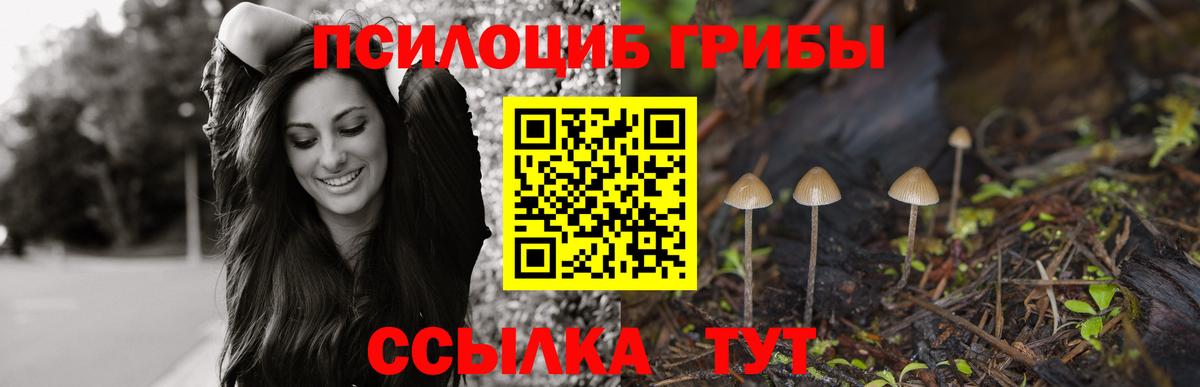 Псилоцибиновые грибы MAGIC MUSHROOMS Тамбов